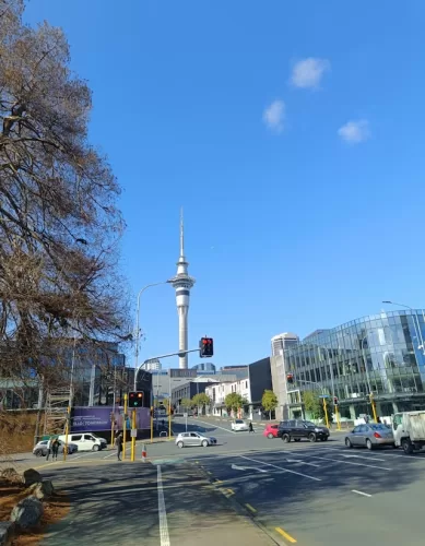 Como Funciona o Sistema de Ferry em Auckland na Nova Zelândia