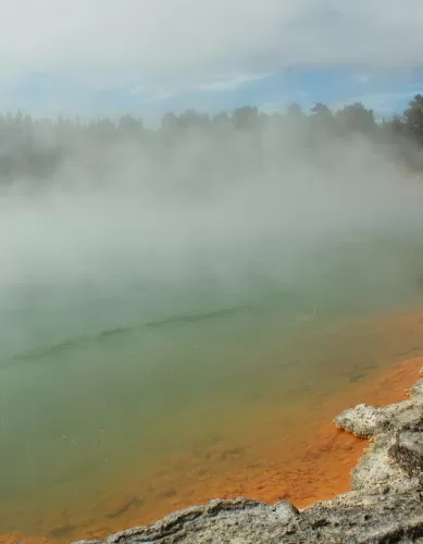 Como Aproveitar Rotorua na Nova Zelândia Gastando Pouco: Guia Para Viajantes Econômicos