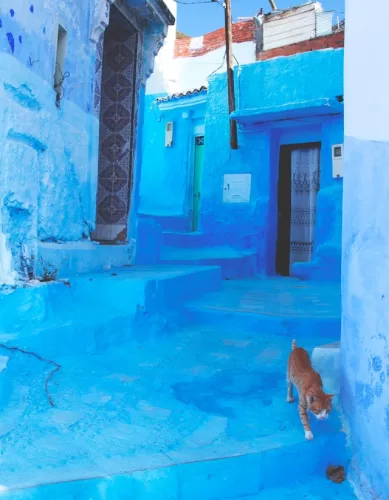 Como o Viajante Pode Chegar em Chefchaouen no Marrocos