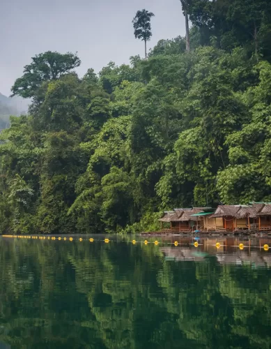 A Tailândia: Um Paraíso Tropical Rico em Cultura e Biodiversidade