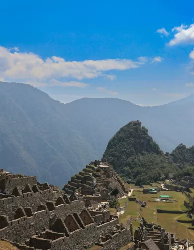 Machu Picchu: Um Paraíso de Biodiversidade nos Andes Peruanos