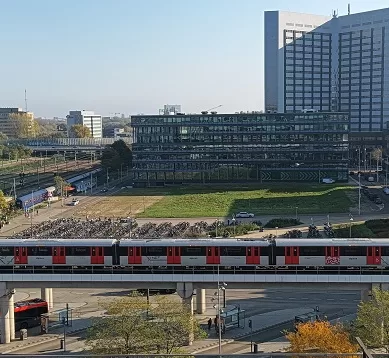 Curiosidades Para Viajantes da Cidade de Amsterdã na Holanda