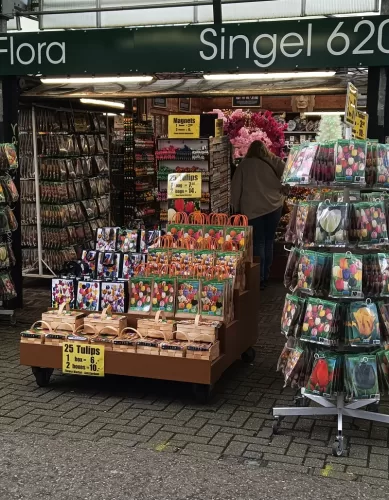 A História das Tulipas na Holanda