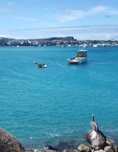 Geografia e Exploração das Ilhas Galápagos: Guia de Localização no Arquipélago