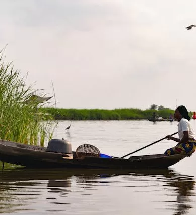 Imunizações e Vacinas Para Viagem a Benin e na África Ocidental