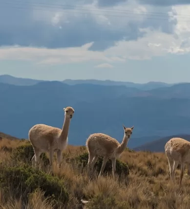 Como Viajar Pela América do Sul com Orçamento Reduzido