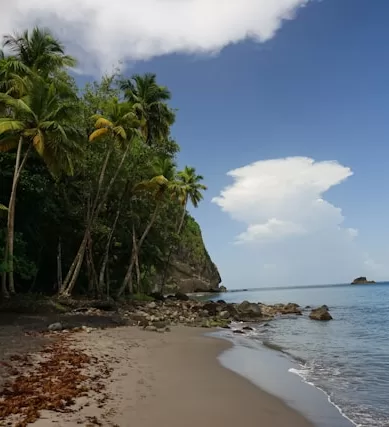 Dicas de Viagem em Martinica no Caribe