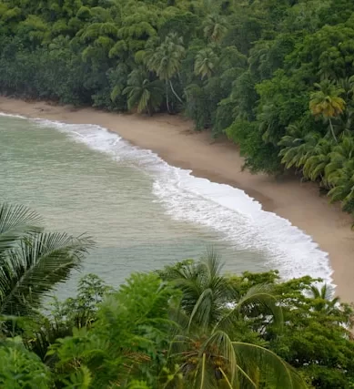 Trinidad e Tobago no Caribe: Para Que Tipo de Viajante?