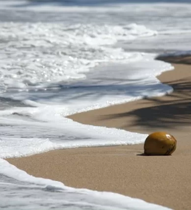 As Melhores Praias em Trinidad e Tobago no Caribe