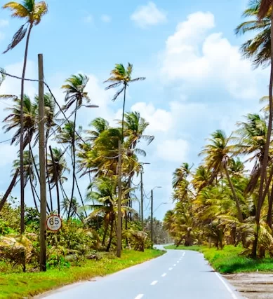 Qual a Melhor Época Para Visitar Trinidad e Tobago no Caribe?