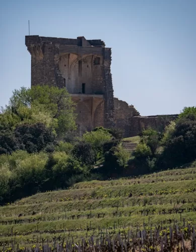 Visita com Degustação de Vinhos Chateauneuf du Pape na França