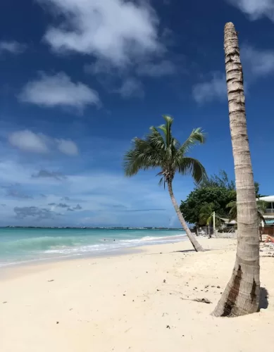 Perfis de Viajantes que vão Gostar de Fazer Turismo nas Ilhas Cayman no Caribe