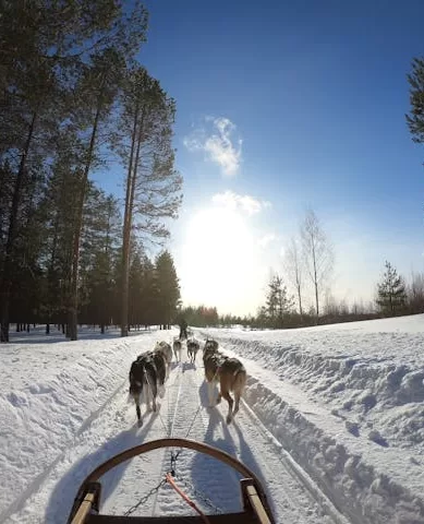 Rovaniemi na Finlândia: A Terra Original de Papai Noel