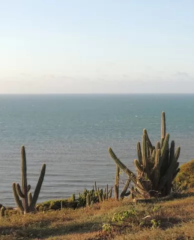 Destinos Imperdíveis no Nordeste do Brasil Para Conhecer em Julho