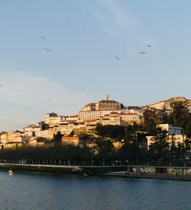 O Melhor de Coimbra em Portugal: Guia Para os Destaques Imperdíveis da Cidade Universitária