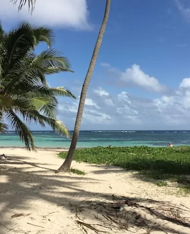 Por que Vale a Pena Conhecer Martinica no Caribe?