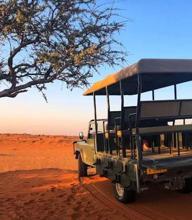 O que é Preciso Saber Antes de Viajar para Botswana?