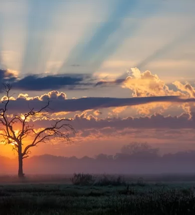 Delta do Okavango: O Paraíso Natural de Botswana