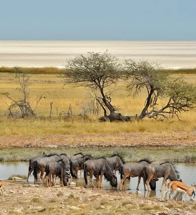 Roteiro de Viagem de 10 Dias na Namíbia na África