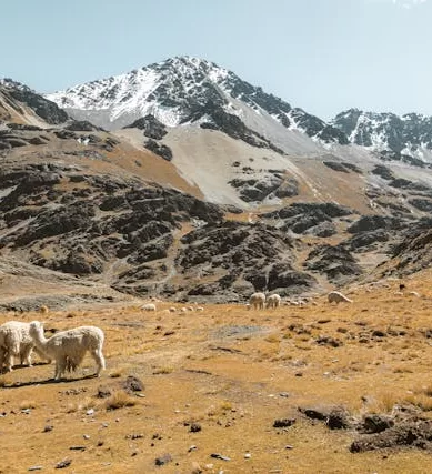 Bolívia: Destino de Viagem Barato na América do Sul