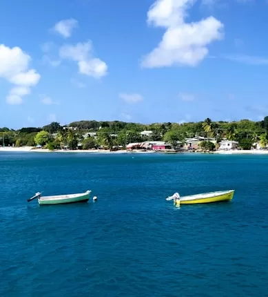 Perfis de Viajantes que vão Gostar de Visitar Barbados no Caribe