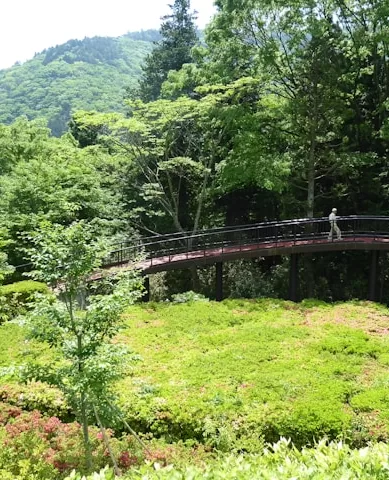 Roteiro de Passeios Turísticos em Hakone no Japão