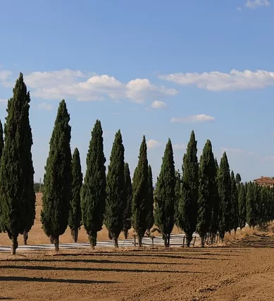 Turismo em Asciano na Itália: Um Encanto na Toscana