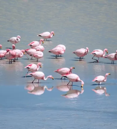 O que ver e Fazer no Salar de Uyuni na Bolívia