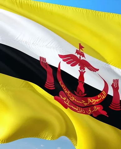 Documentos Necessários Para o Turista Brasileiro Visitar Brunei na Ásia
