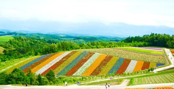 O Melhor Roteiro de 3 Dias em Hokkaido no Japão Para Visitantes de Primeira Viagem