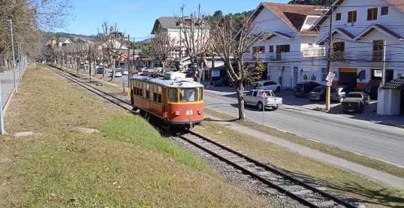 Campos do Jordão: Um Refúgio de Charme, Natureza e Cultura na Serra da Mantiqueira