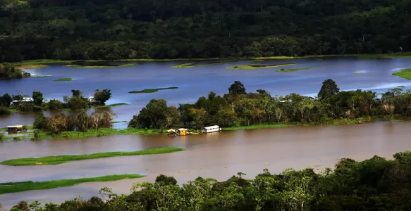 The Amazon: The World’s Lungs and Its Global Importance