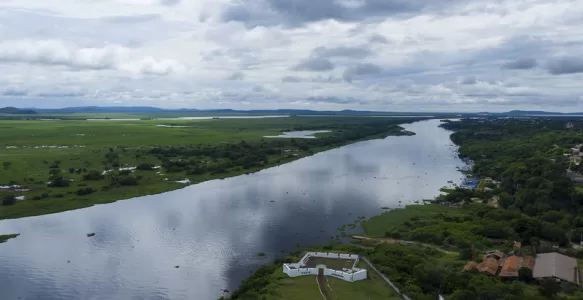 The Pantanal: A Natural Treasure of Brazil