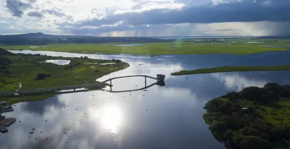 O Pantanal: Um Tesouro Ecológico de Valor Inestimável no Brasil