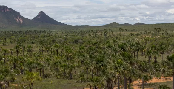 Jalapão: Um Paraíso de Aventura e Natureza Intocada no Coração do Tocantins
