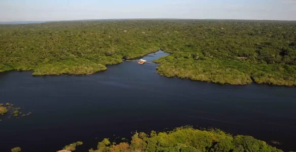A Amazônia: O Pulmão do Mundo e Sua Importância Global