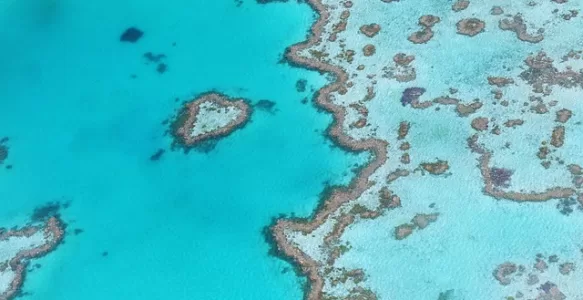 Explore a Austrália: Um Guia das Maravilhas do País
