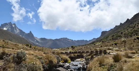 Turismo no Quênia: Um País de Diversidade, Vida Selvagem e Cultura na África
