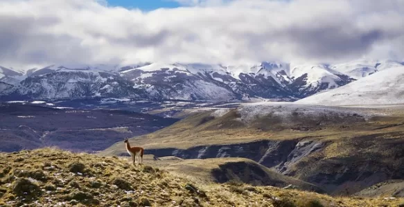 O que ver na Patagônia mês a mês: Guia Completo Para Planejar sua Viagem