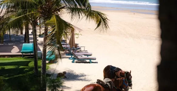 Praias Quase Desertas Para o Turista Relaxar no Estado do Ceará