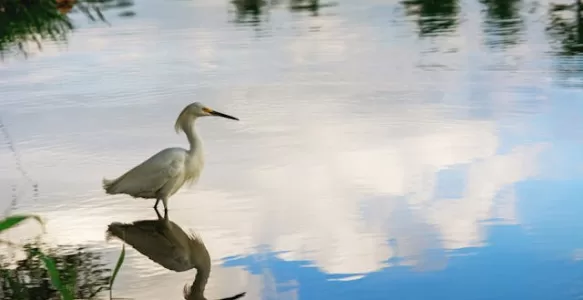 25 Destinos de Viagem Naturais Imperdíveis na América do Sul