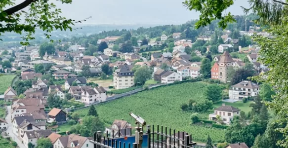 Roteiro Detalhado, Dicas de Viagem e Informações Sobre Transporte e Hospedagem em Liechtenstein