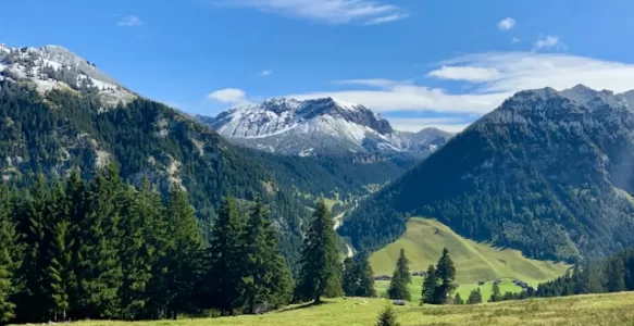 Explorando a Cidade de Vaduz: Um Guia Para a sua Viagem ao Coração do Liechtenstein