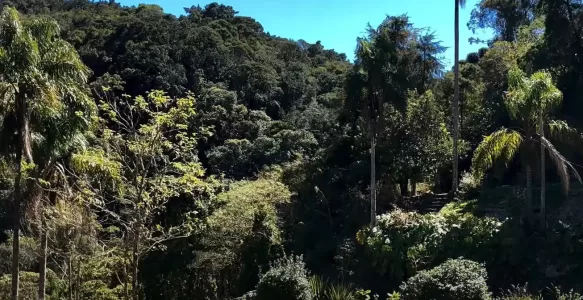 Caraça National Park: A Treasure of Minas Gerais in Brazil
