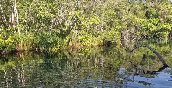 Rio da Prata: Uma Sinfonia de Experiências em Bonito
