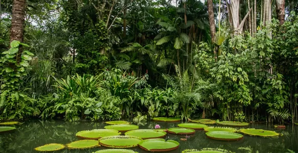 Destinos de Viagem Mais Quentes Para Visitar em Julho no Brasil