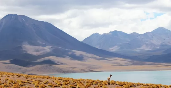 Como Combinar Peru e Chile na Viagem de Férias