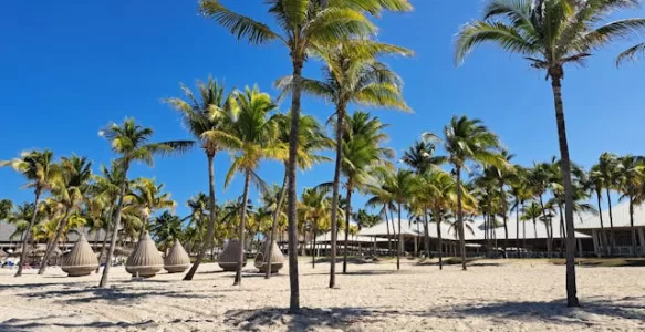Explorando os Paraísos Cubanos: Um Guia Prático dos Cayos e Praias